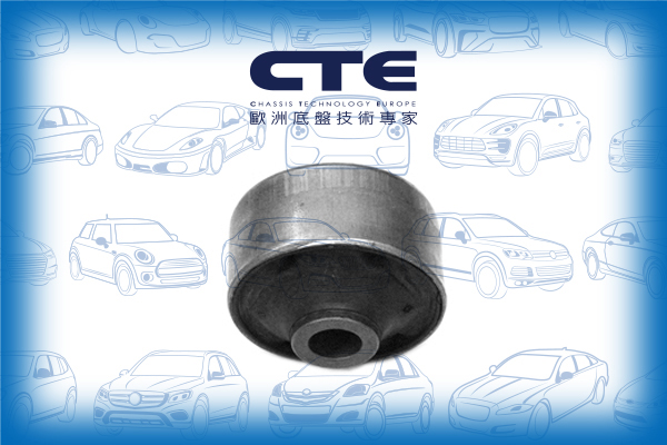 Rubber Bushing/LEXUS/TOYOTA/NX (_Z1_)/RAV 4 III (_A3_) | RAV 4 / VANGUARD/RAV 4 IV (_A4_)