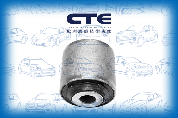 Rubber Bushing/MAZDA/6 Saloon (GH) | ATENZA