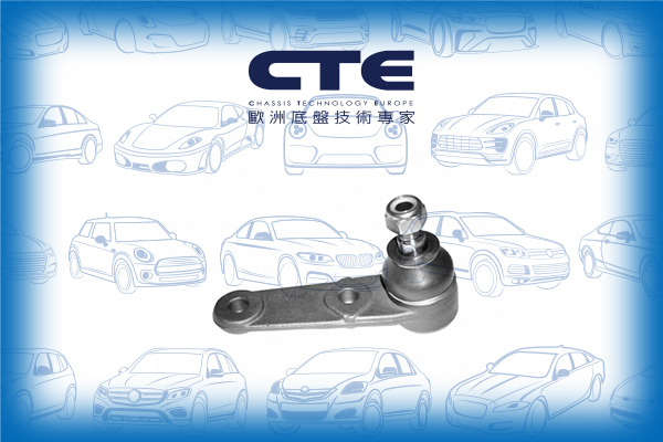 Ball Joint/VOLVO/480 (482)