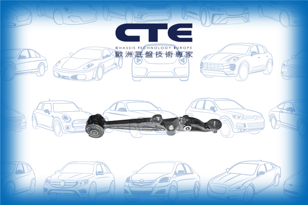 Control Arm/LEXUS/TOYOTA/ARISTO (_S14_)/GS (JZS147_)
