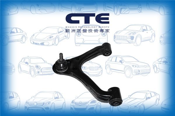 Control Arm/TOYOTA/TACOMA Pickup (_N2_)