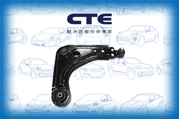 Control Arm/FORD/FIESTA III (GFJ)