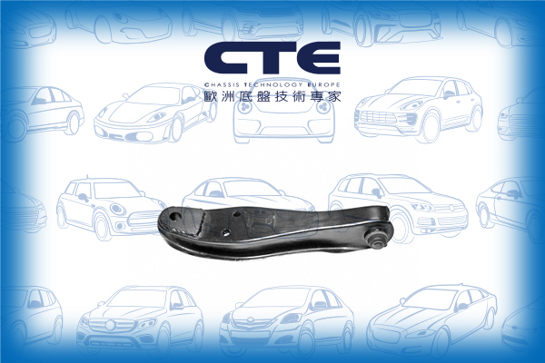 Control Arm/MITSUBISHI/MINICA (H1_)