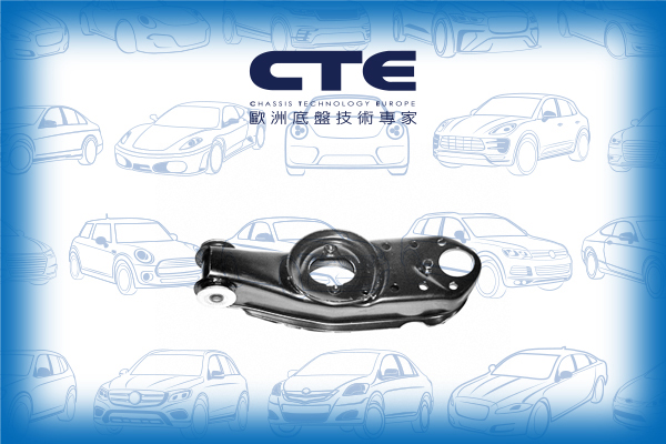 Control Arm/MITSUBISHI/L 300 / DELICA II Bus (LO3_P/G, L0_2P)/L 300 / DELICA II Platform/Chassis (L03_P) | BIG MINI/L 300 / DELICA II Van (L03_P)/L 300 III Bus (P0_W, P1_W, P2_W, P3_W) | DELICA/L 300 III Van (P0_V, P1_V, P_2V) | DELICA