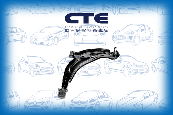 Control Arm/NISSAN/MICRA II (K11) | MARCH | VERITA