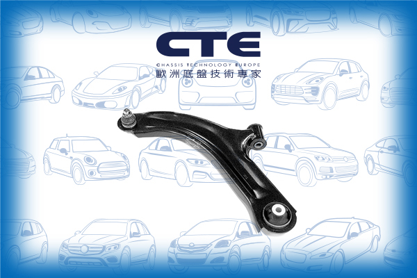 Control Arm/NISSAN/MICRA C+C III (K12) | MARCH/MICRA III (K12) | MARCH