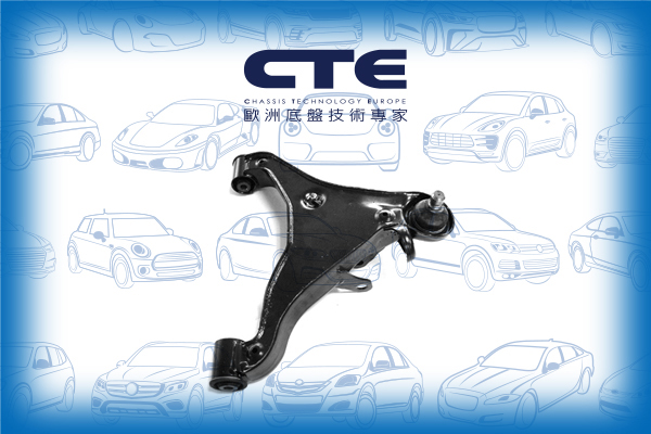 Control Arm/NISSAN/NP300 NAVARA (D40)/NP300 NAVARA Platform/Chassis (D40)