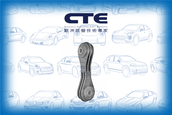 Stabilizer Link/AUDI/SEAT/SKODA/VOLKSWAGEN/A3 (8L1)/BORA I (1J2)/GOLF IV (1J1)/LEON (1M1)/NEW BEETLE (9C1, 1C1)/OCTAVIA I (1U2)/TOLEDO II (1M2)